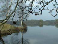 bild"